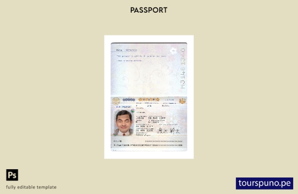 Plantilla de presente de pasaporte japonés lista para imprimir